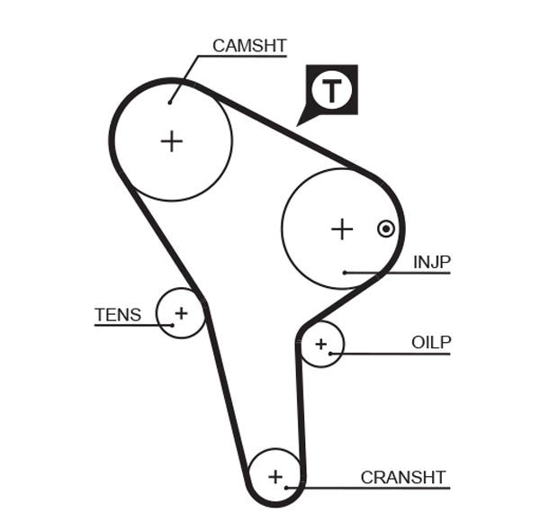 T043