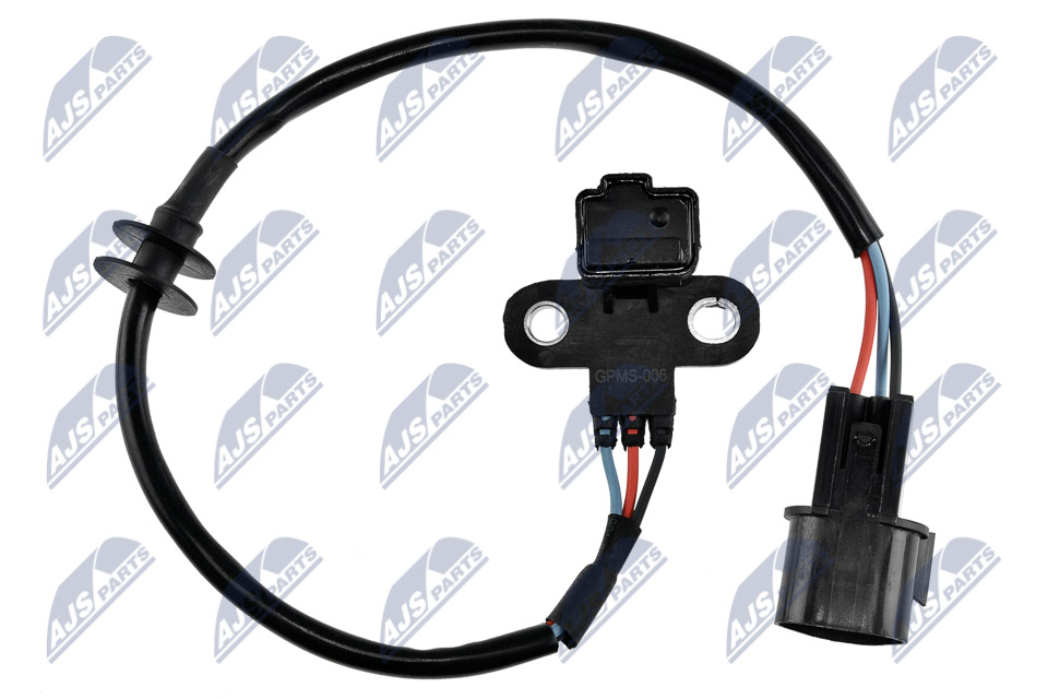 ECP-MS-006