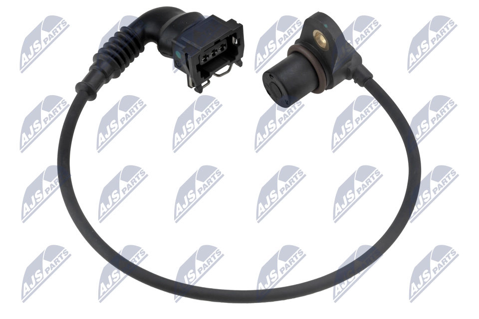 ECP-BM-021