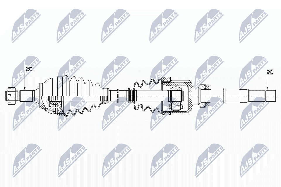NPW-CT-079