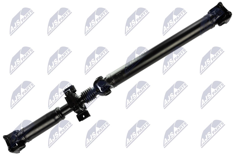 NWN-MS-015