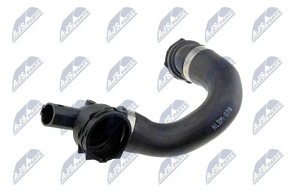 CPP-BM-079