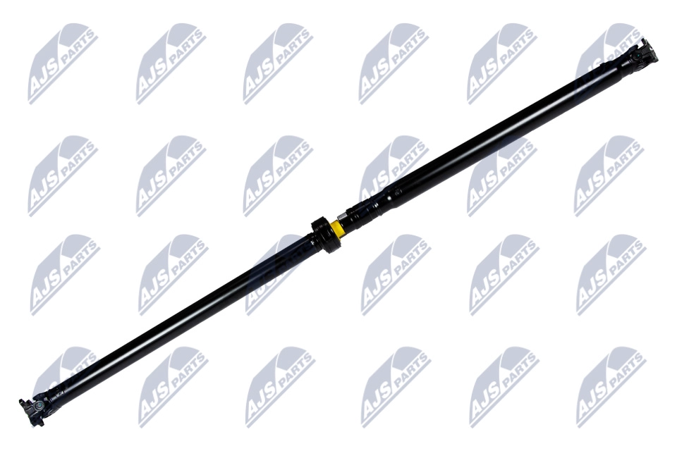 NWN-NS-011