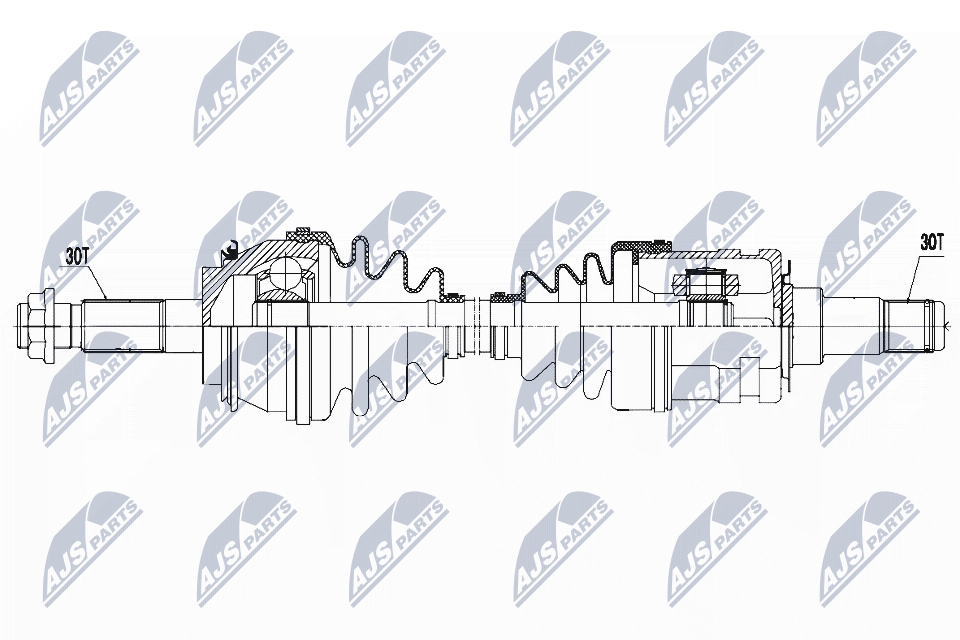 NPW-TY-081