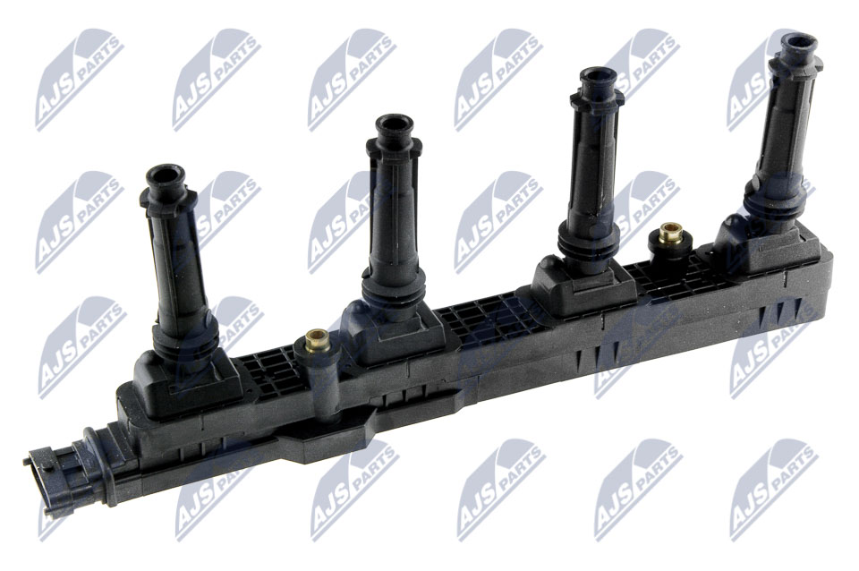 ECZ-PL-031