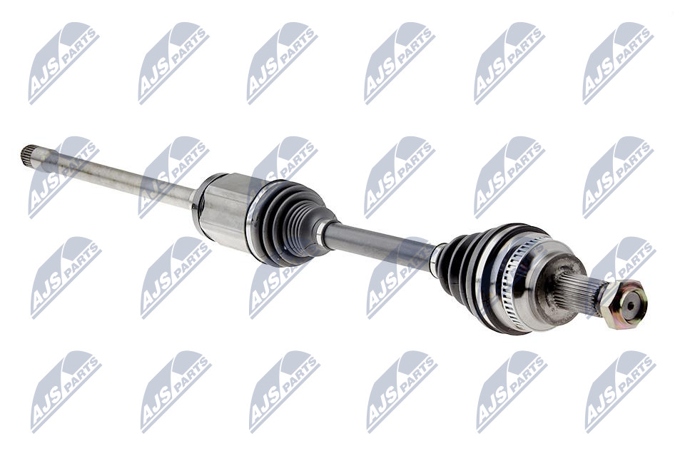 NPW-BM-079