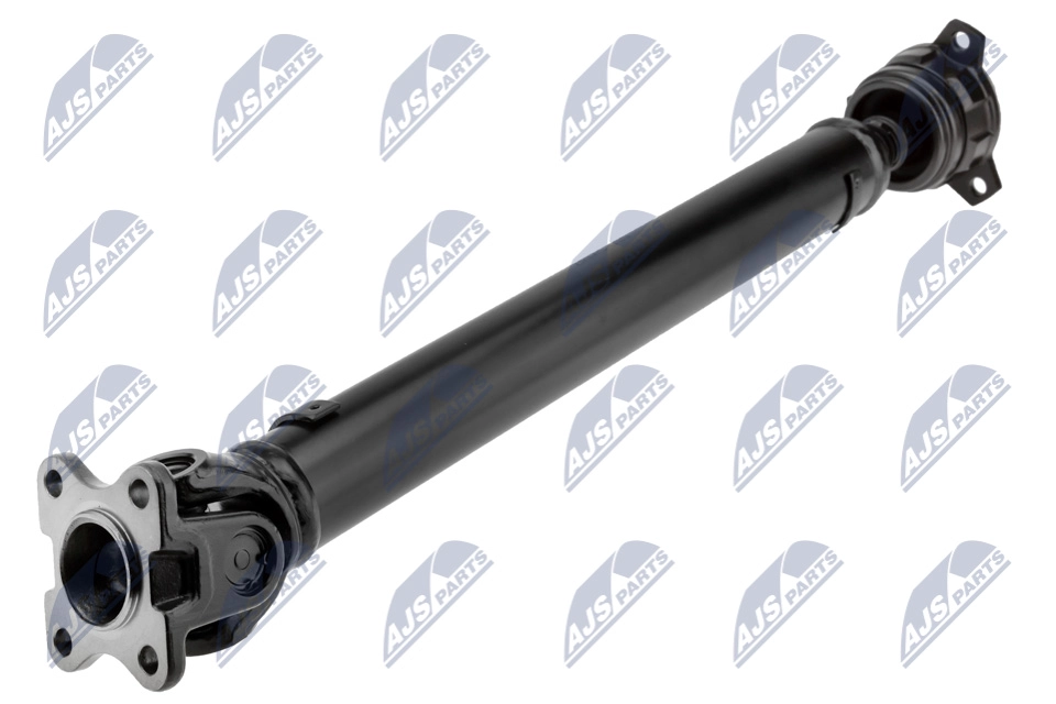 NWN-MS-010