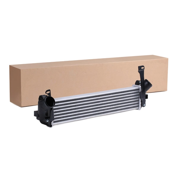 SKICC-0890347