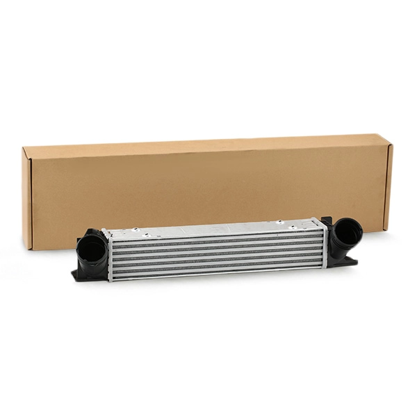 SKICC-0890067