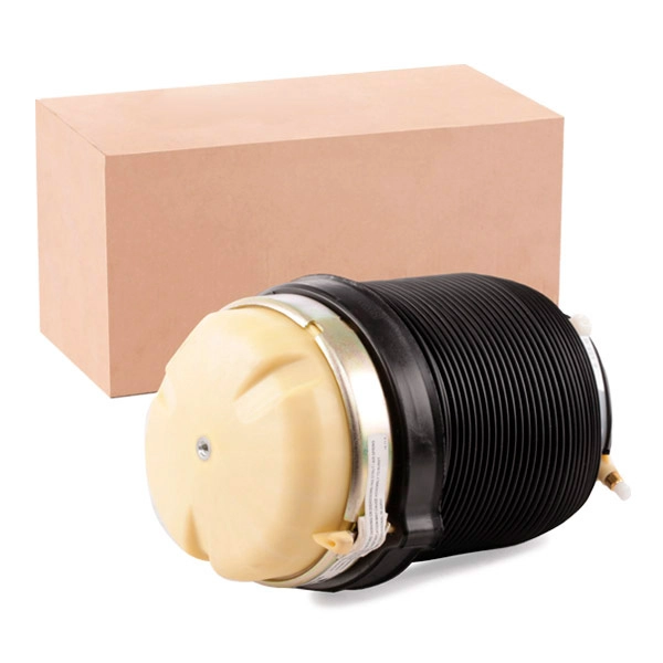 SKASS-1850025