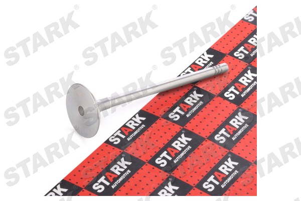 SKINV-3270008