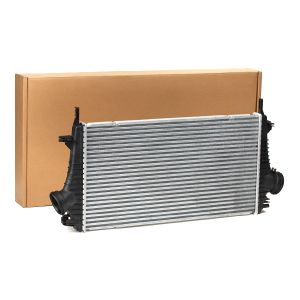 SKICC-0890046