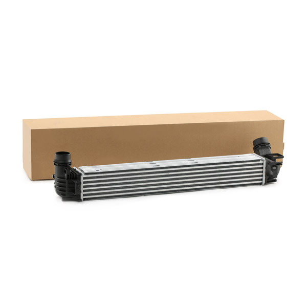 SKICC-0890034