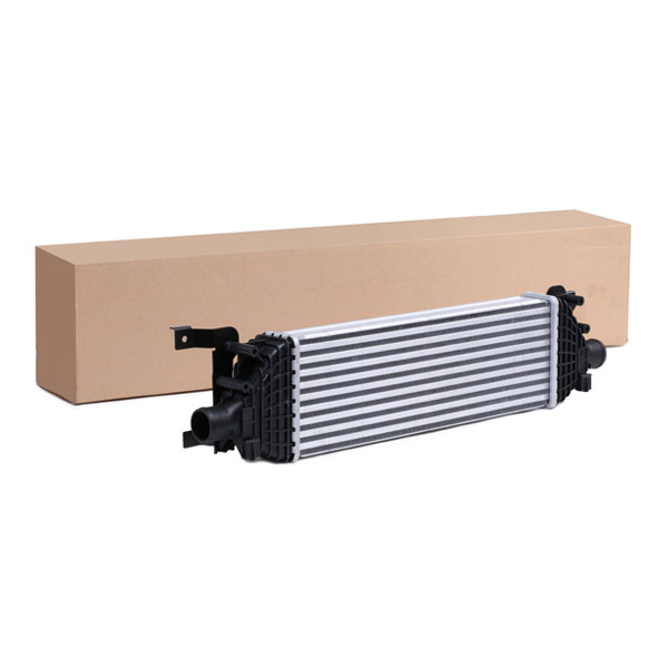SKICC-0890416