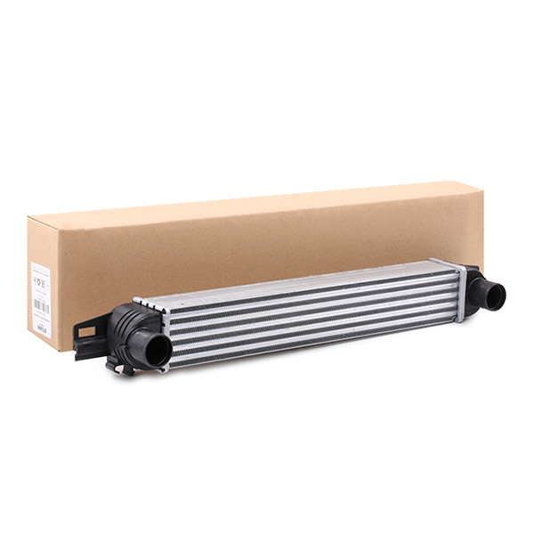 SKICC-0890268