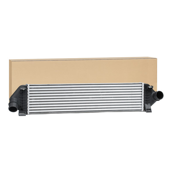 SKICC-0890468