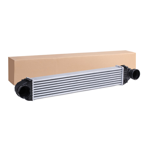 SKICC-0890307