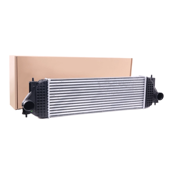 SKICC-0890006