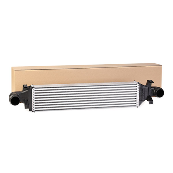 SKICC-0890265
