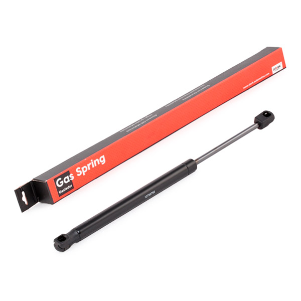 SKGS-0220863