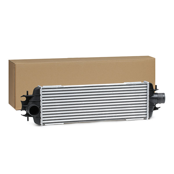 SKICC-0890466