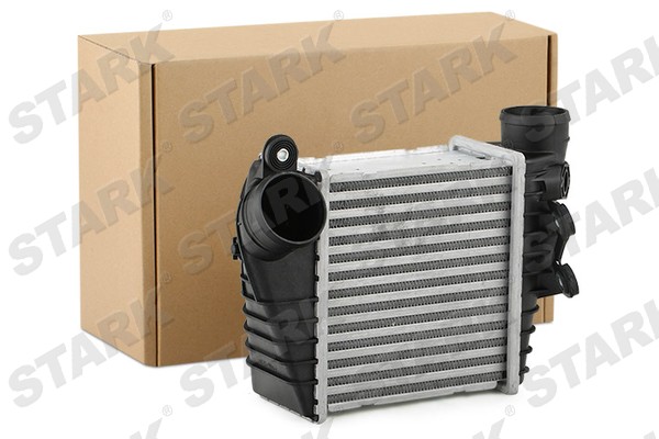 SKICC-0890059