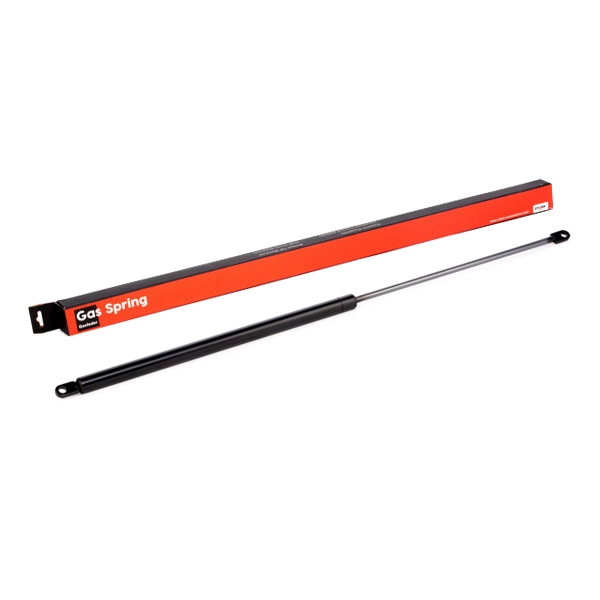SKGS-0220366
