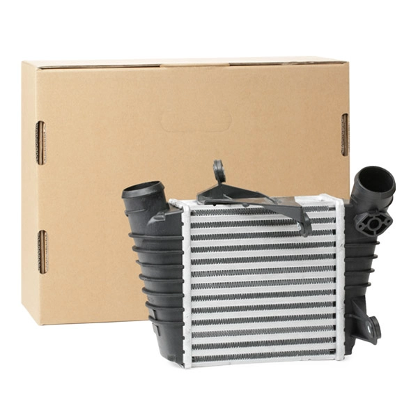 SKICC-0890017