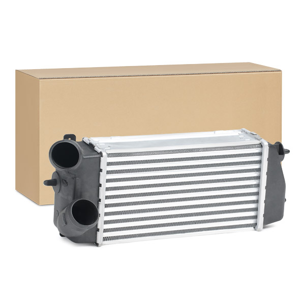 SKICC-0890350