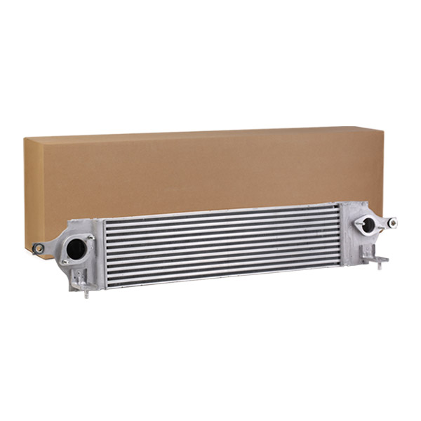 SKICC-0890247