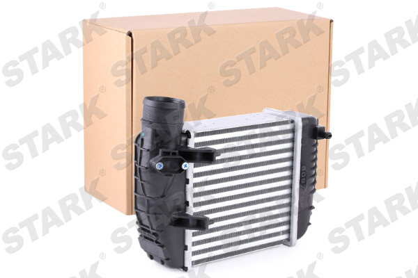 SKICC-0890037