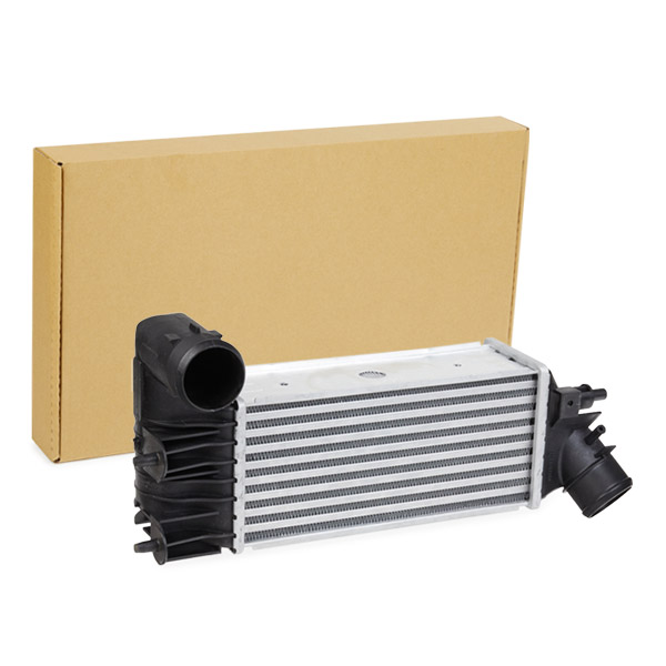 SKICC-0890011