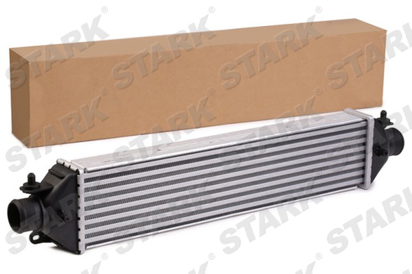 SKICC-0890063