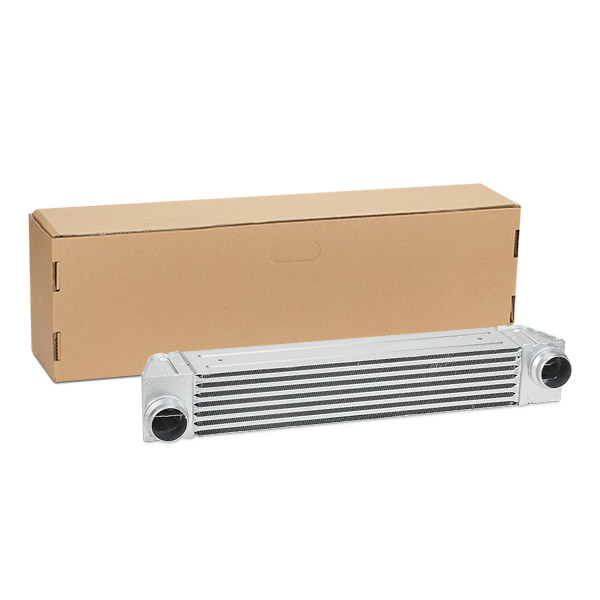 SKICC-0890260