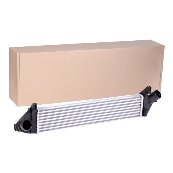 SKICC-0890062
