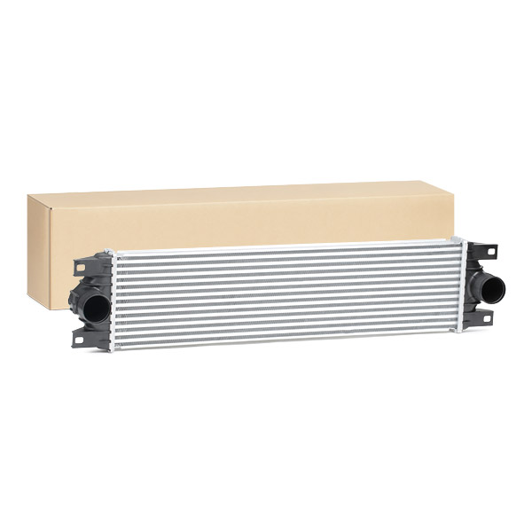 SKICC-0890374