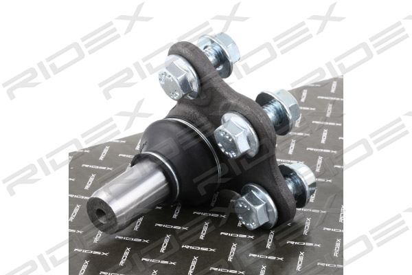 2462S0137