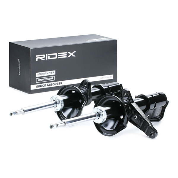 RSC500060