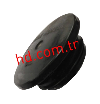 HD 19165