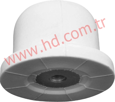 HD 19065