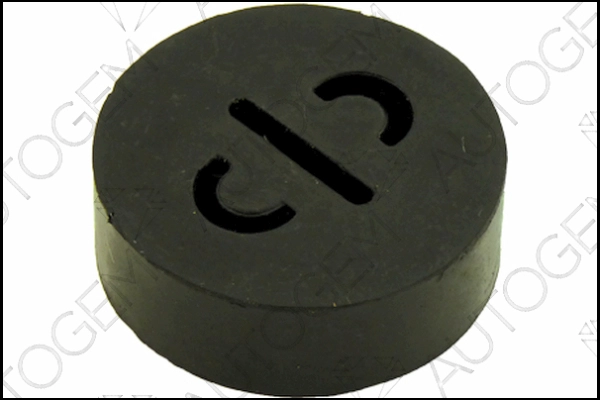SM55