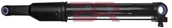 BRCA0651