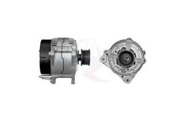 ALGE00357