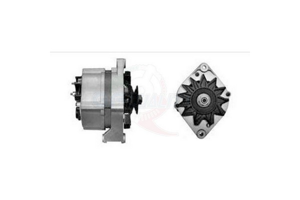 ALGE00869