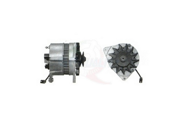 ALGE00553