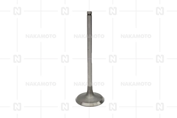 A29-TOY-19100001