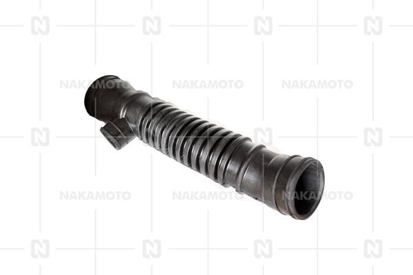 D07-FOR-21030094