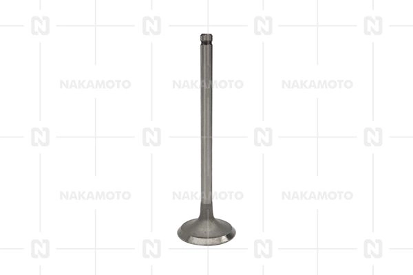 A29-MAZ-21030021