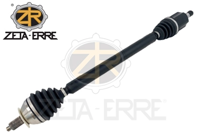 ZR12299