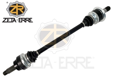 ZR12061
